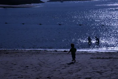 DSC_0841 (Large).JPG